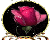 Rose globe