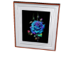 Rose in White Frame