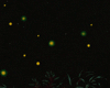 Anim Fireflies w/SitPose