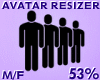 Avatar Resizer 53%