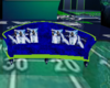 SeaHawk's Couch