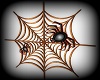 HalloweenWB The Web