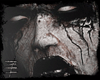 #corpsepaint v.2