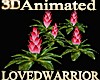 5 Animated Bromeliads 2