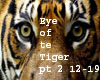 Eye of the tiger pt 2