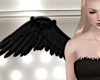 [rk2]Angel Wings Rose BK