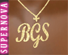 [Nova]BGS GoldNecklace.F
