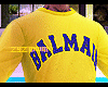Z! Sweater Balmain