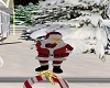 Winter WonderLand Santa