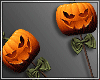 !MD Pumpkin HB. V1 - DRV