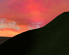 Moonlight in the Savanna