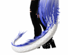 yingxing tail