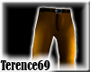 69 Chic Pants - Gold