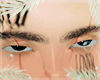 Eyebrow