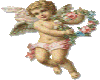 cherub