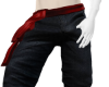 Pirate Pants Dark