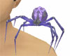 Lighning Back spider