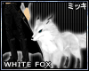 ! White Baby Fox