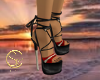 DRAGON SHOES