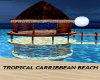 TROPICAL CARRIBEAN BEACH