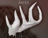 .𝖍 .Deer horns
