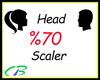 3~ Head Scale %70