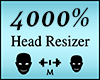 Head Scaler 4000%
