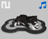 nu | Sleeping Dog Radio