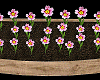 Flower Box Windows AddOn