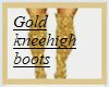 Gold kneehigh Boots