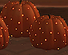 Pumpkins w Lights