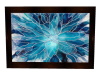 Blue Flower Picture