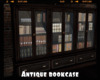 *Antique bookcase