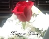 Love Rose A1