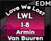 Love We Lost - Armin