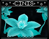 CIN| Echo Flowers