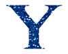 Blue Glitter Letter Y