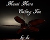KC~ Masai Mara Ceiling F