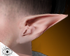 Ear Elf