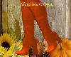 Autumn Tangerine Boots