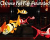Chinese Koi Fish Animate