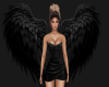 Black Evil Wings