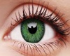 Green Eyes e