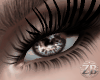 Realistic Eyes 1