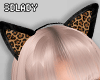 DY*Ears Jaguar