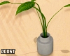 Minimal Plant