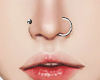 HD Nose Piercings - WHT