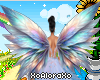 (A) Rainbow Wings 1