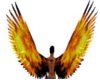 Animated Fire Wings M/F