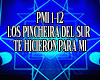 Pmi 1-12